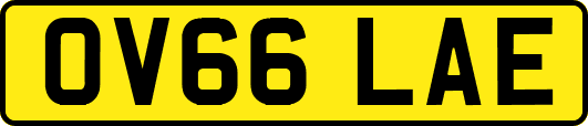 OV66LAE
