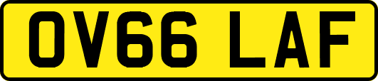 OV66LAF