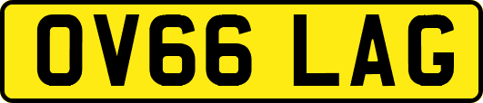 OV66LAG