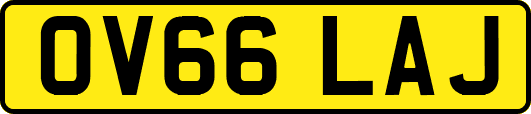 OV66LAJ