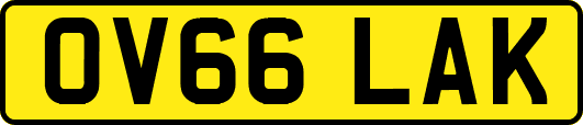 OV66LAK