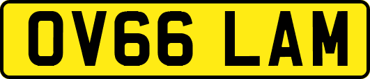 OV66LAM