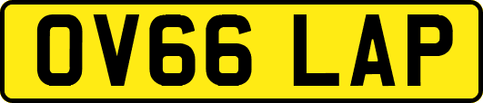 OV66LAP