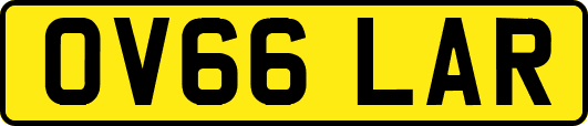 OV66LAR