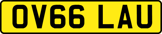 OV66LAU