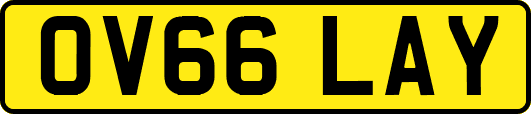 OV66LAY
