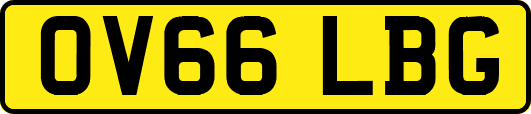 OV66LBG