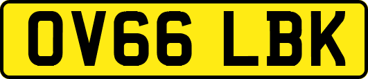 OV66LBK
