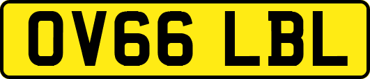 OV66LBL