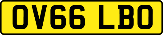 OV66LBO