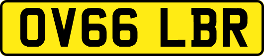 OV66LBR