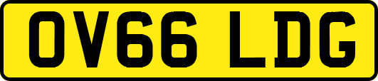 OV66LDG