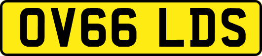OV66LDS