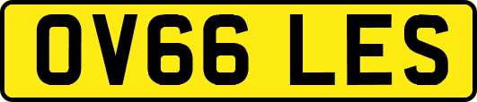 OV66LES
