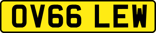 OV66LEW