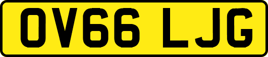OV66LJG