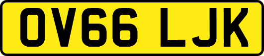 OV66LJK