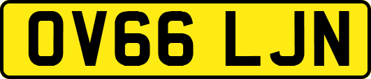 OV66LJN