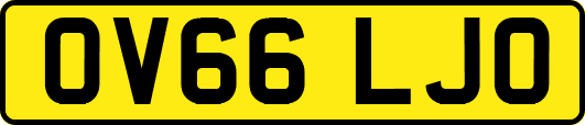 OV66LJO