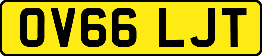 OV66LJT