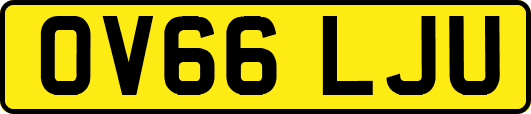 OV66LJU
