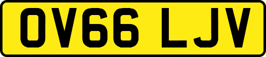 OV66LJV