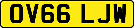 OV66LJW