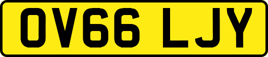 OV66LJY