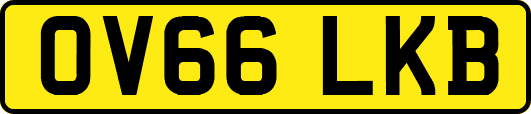 OV66LKB
