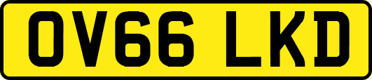 OV66LKD