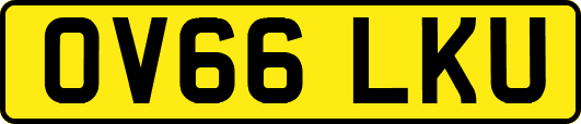 OV66LKU