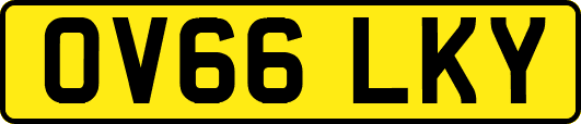 OV66LKY