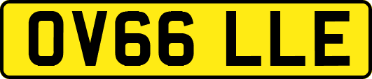 OV66LLE