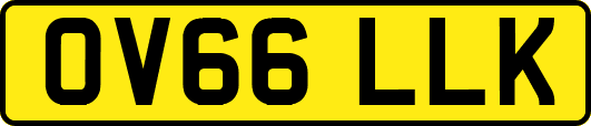 OV66LLK