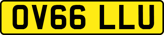 OV66LLU