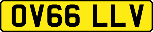 OV66LLV