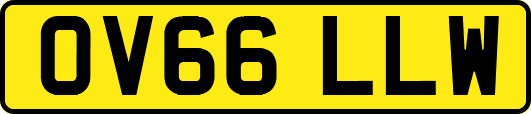 OV66LLW
