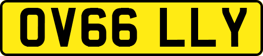 OV66LLY