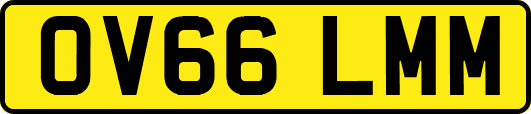 OV66LMM