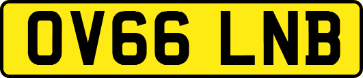 OV66LNB
