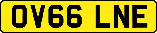 OV66LNE