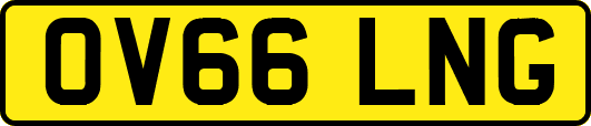 OV66LNG