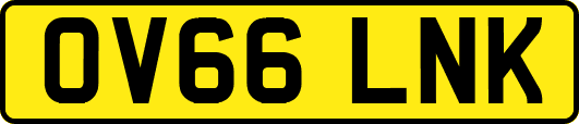 OV66LNK