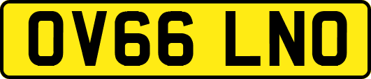 OV66LNO