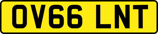 OV66LNT
