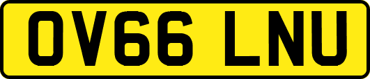 OV66LNU