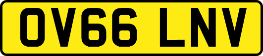 OV66LNV