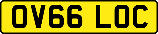 OV66LOC