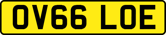 OV66LOE