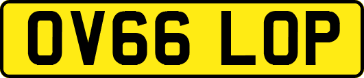 OV66LOP
